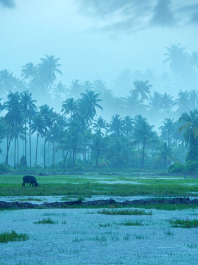 Read more about the article Places To Visit In Monsoon In India