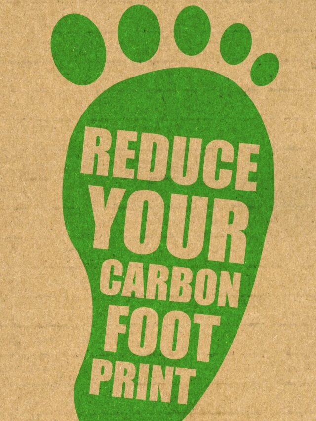 Read more about the article Reduce Your Carbon Footprint