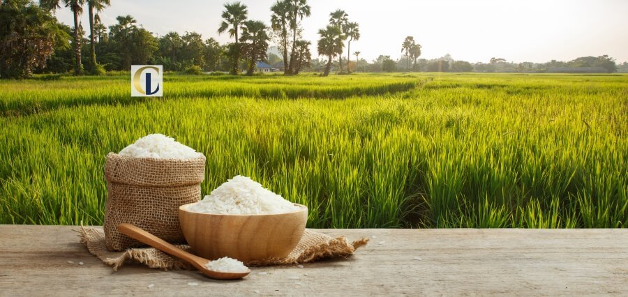 Rice Trade 